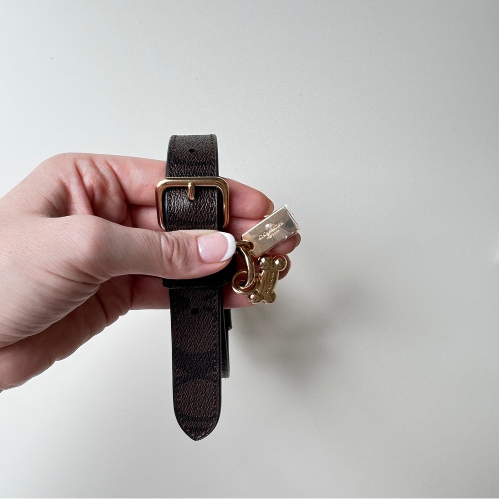 Coach leather Dog collar M NWOT